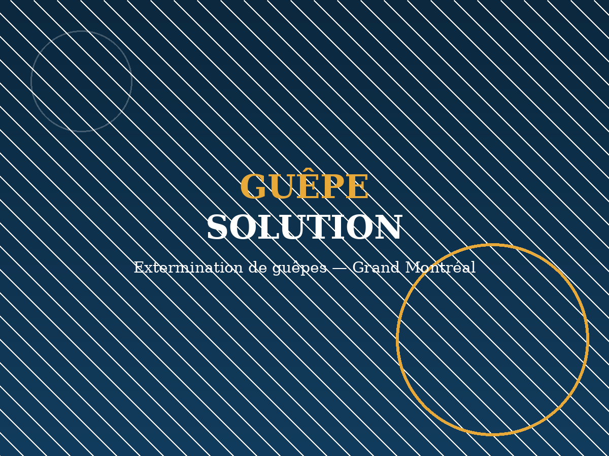 Technicien de Guêpe Solution intervenant sur un nid de guêpes